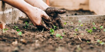 Spring Gardening: Cultivate Health and Prevent Injury